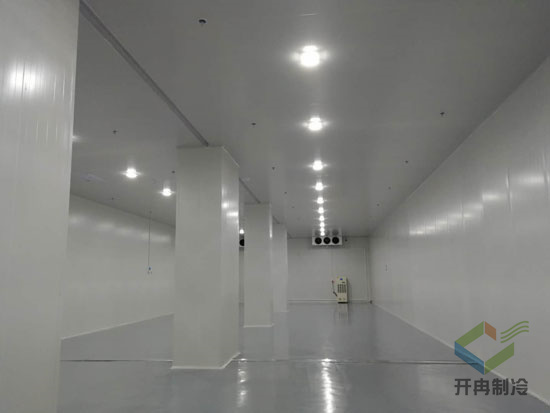 建造5000m3工業(yè)自動化冷庫安裝費(fèi)用價(jià)格是多少？