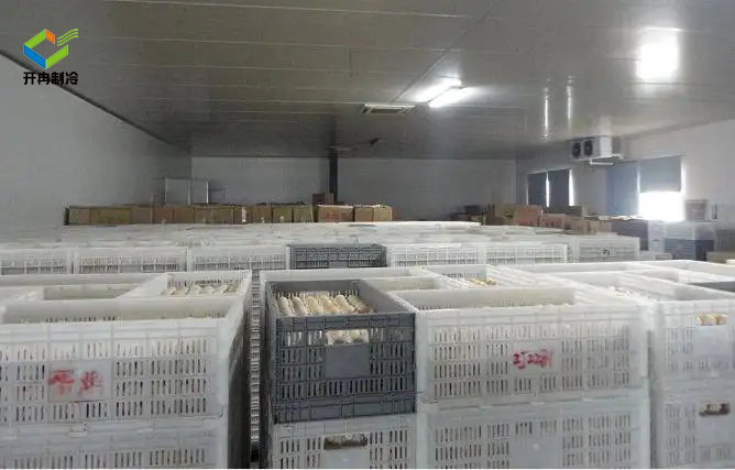 農(nóng)產(chǎn)品供應中心雞蛋保鮮冷庫安裝方法及雞蛋冷庫儲存方法