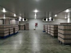 3000噸食品冷藏庫安裝造價是多少？