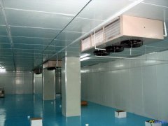 設計一個700噸冷凍庫造價多少錢？冷藏庫設備報價