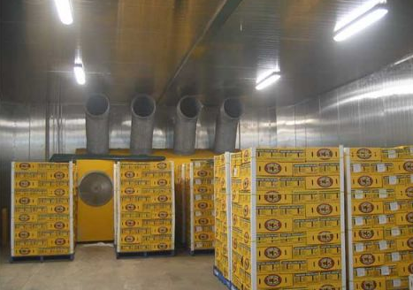 建造拼裝式冷藏庫放水果多少錢，拼裝式冷庫造價