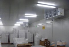 2000平食品冷凍庫設計，-18℃海鮮冷凍品冷凍庫造價