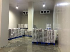 500噸蔬菜保鮮庫(kù)需要多大面積總投資造價(jià)是多少，設(shè)備日耗電量是